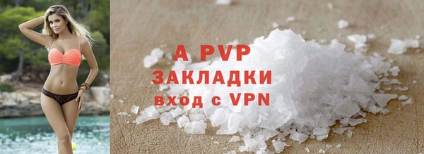 ECSTASY Алзамай