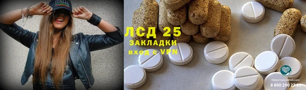 ECSTASY Алзамай