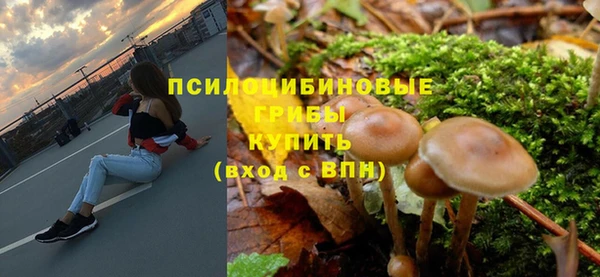 ECSTASY Алзамай