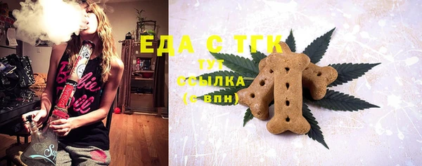 ECSTASY Алзамай