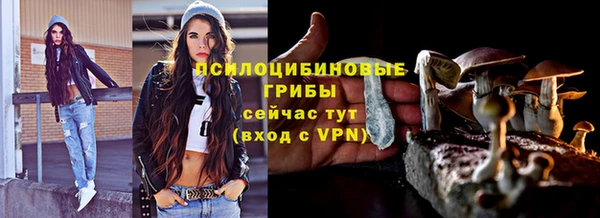 бошки Алексеевка