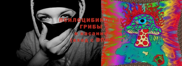 ECSTASY Алзамай