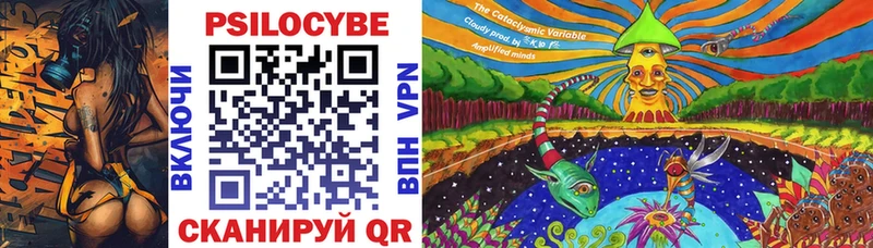 Псилоцибиновые грибы Cubensis Сорочинск